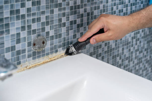 Best Bathroom Mold Remediation in Queen City, TX